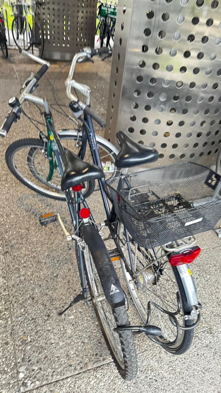 Biciclette: Zwei Velos – Usato da Zufikon venduto da bil_t9sg 2