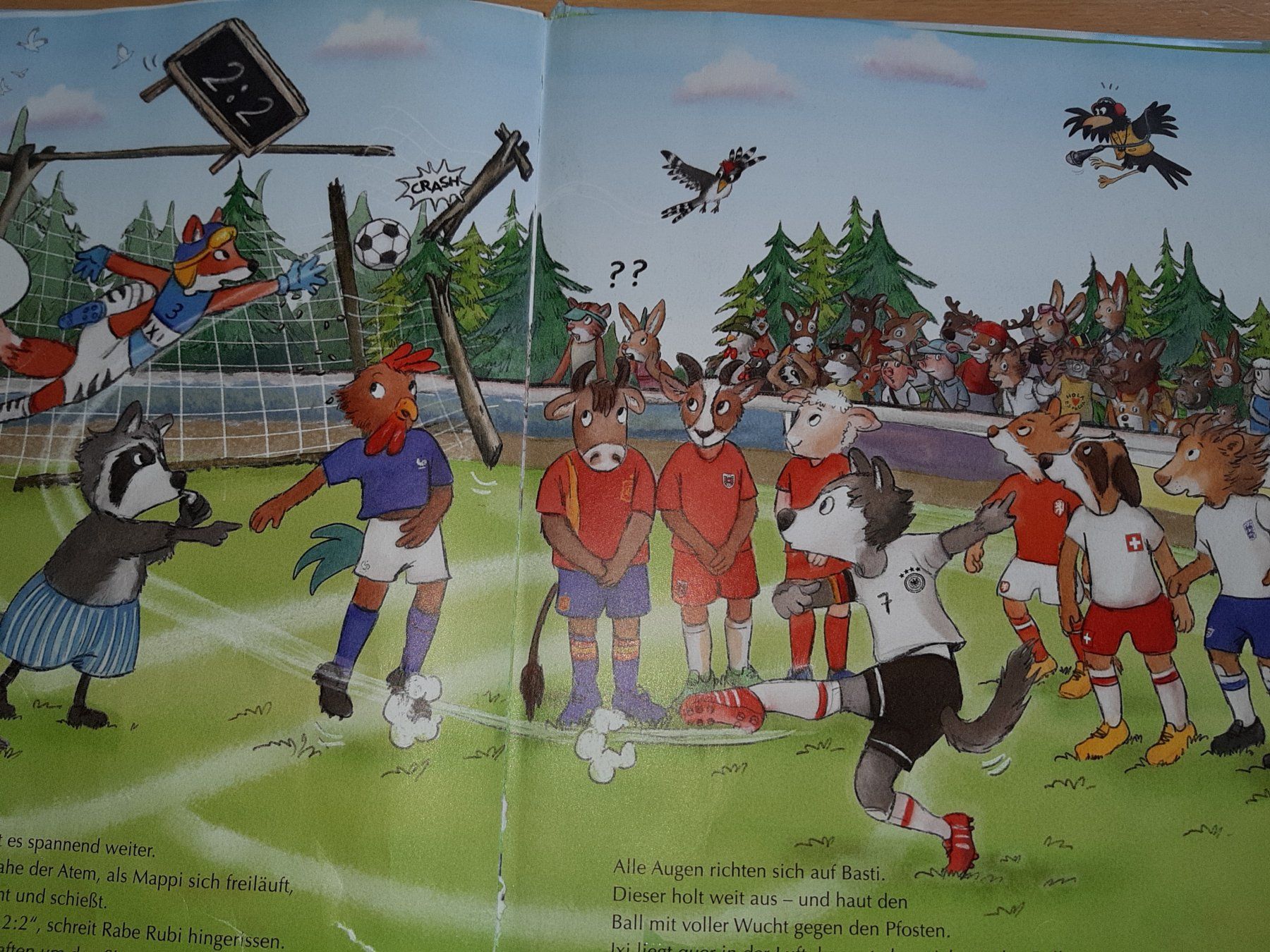 Libri: Fussballfieber - Kinderbuch – Usato da Rotkreuz venduto da nigal 1