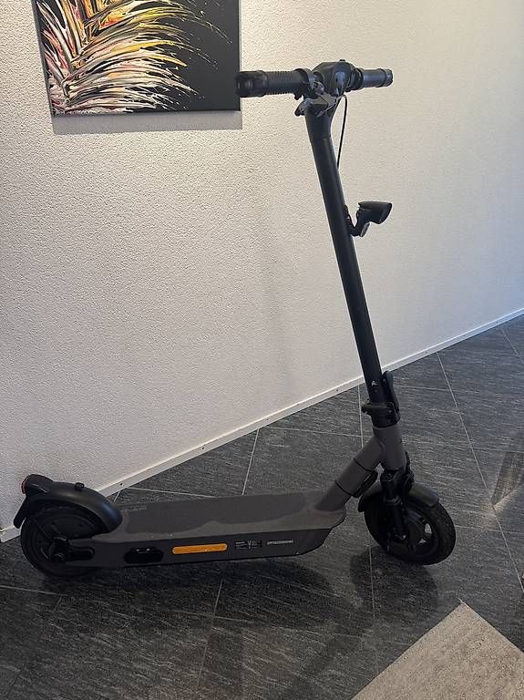 Scooters: E Trotti / E Roller 500 W PF-2 CITY 835 – Gebraucht aus Wald ZH von Largo03 2
