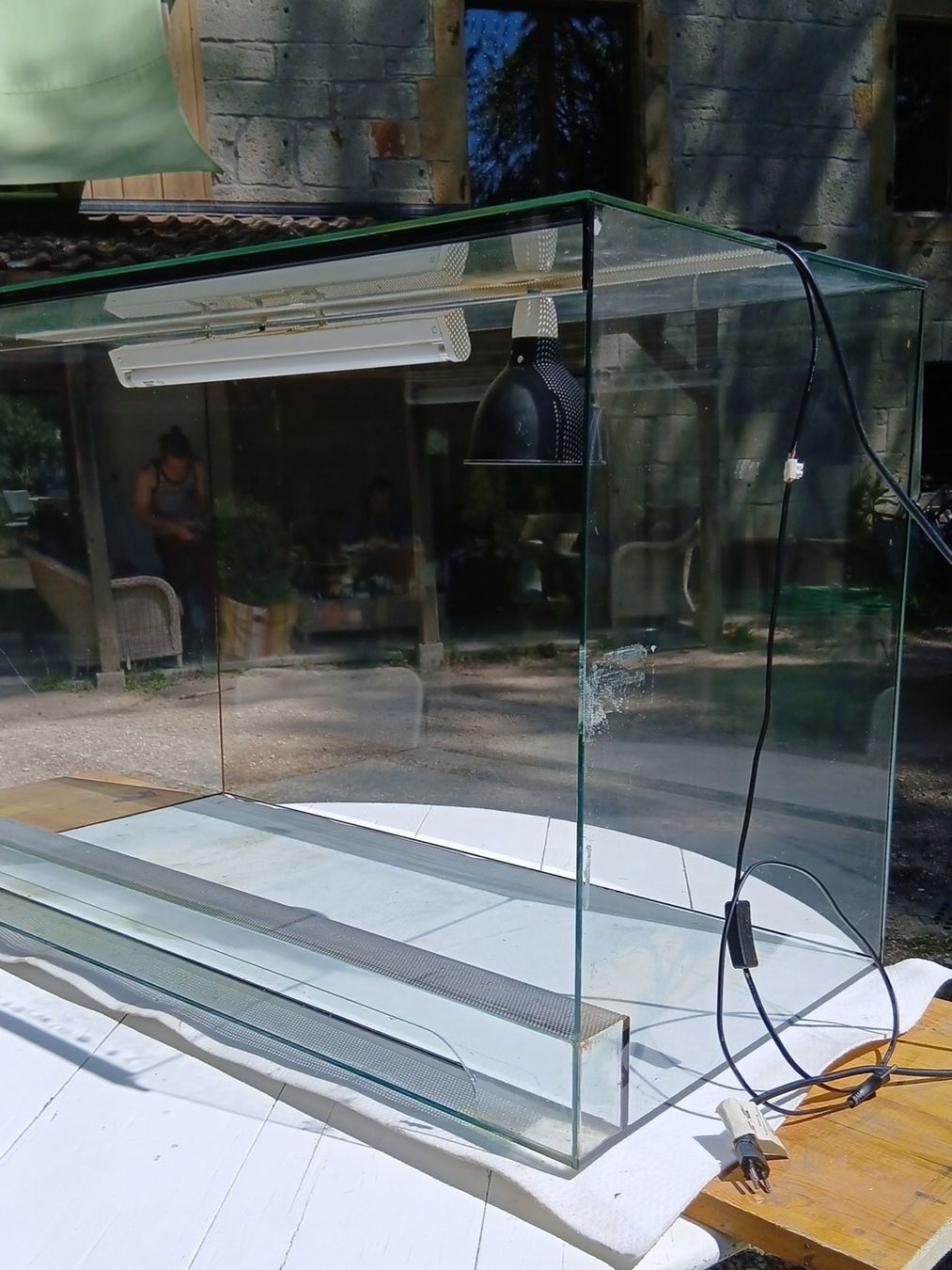 Terrarium: Terrarium – Gebraucht aus Uttigen von gur_l6vy 3