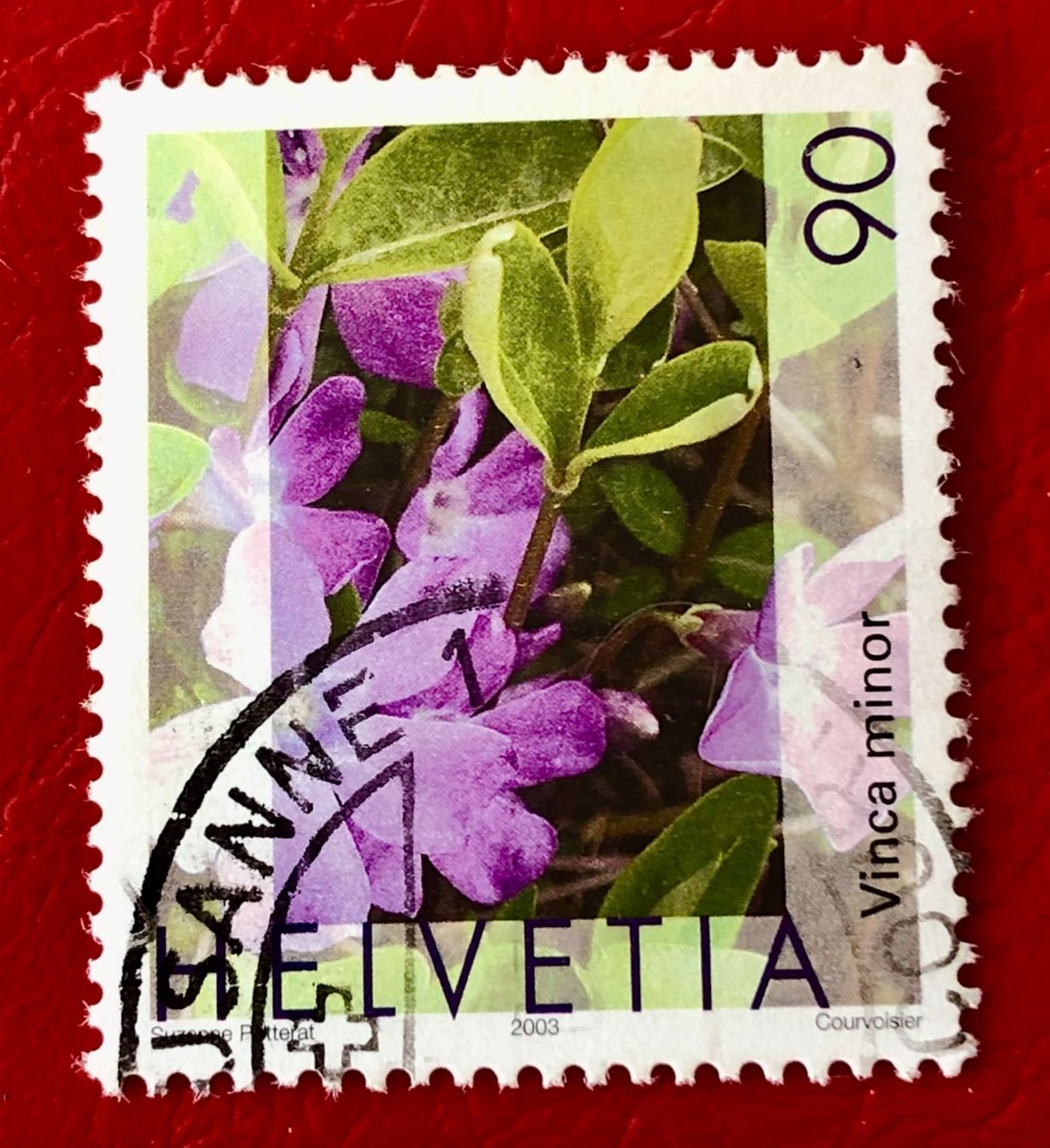 Tutti i francobolli: Nr.1074 Gemeines Flora,Immmergrün GESTEMPELT 2003     – Usato da Aarau venduto da Billa007