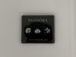 Pandora Tropical Paradise Petites Set