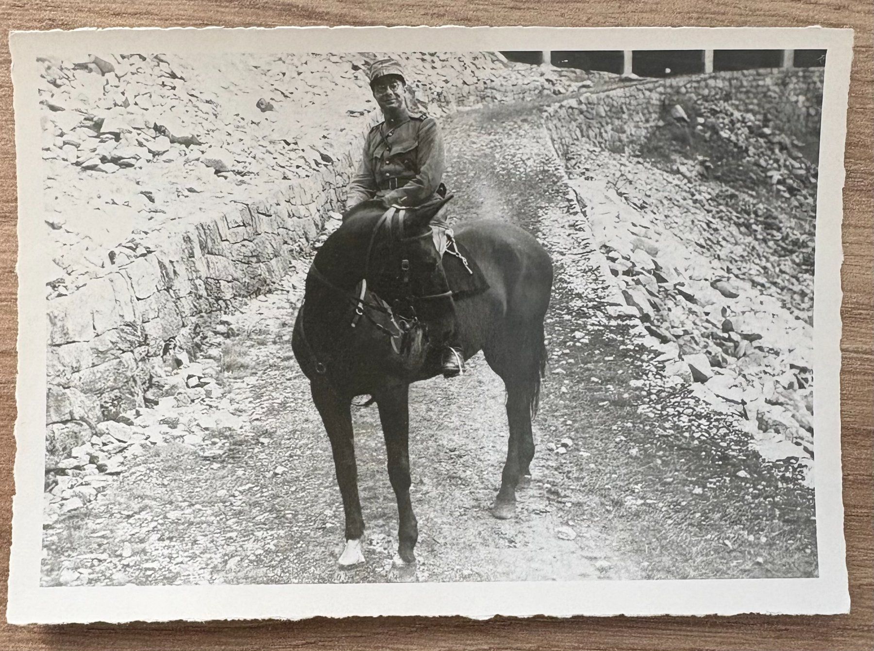Foto & Immagini: FOTO SCHWEIZER ARMEE PFERD UND REITER – Usato da Ostermundigen venduto da crazy-horse-1840