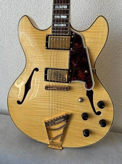 Strumenti musicali: D'Angelico DC 2018 - nature – Usato da Regensdorf venduto da jannis02 1