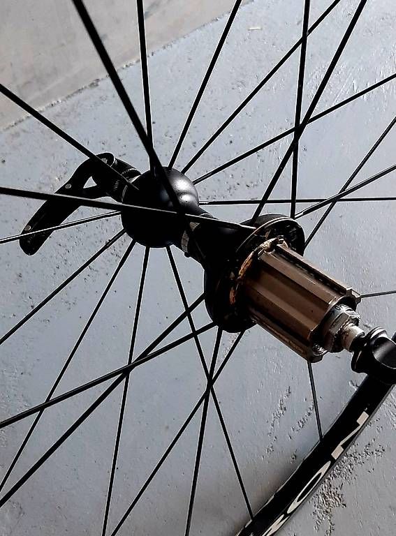 Pneumatici & Ruote complete: Roues Campagnolo Neuron – Usato da Gampelen venduto da Numaguy 1