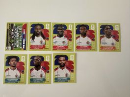 PANINI WM 2026 verschiedene Bilder HAITI
