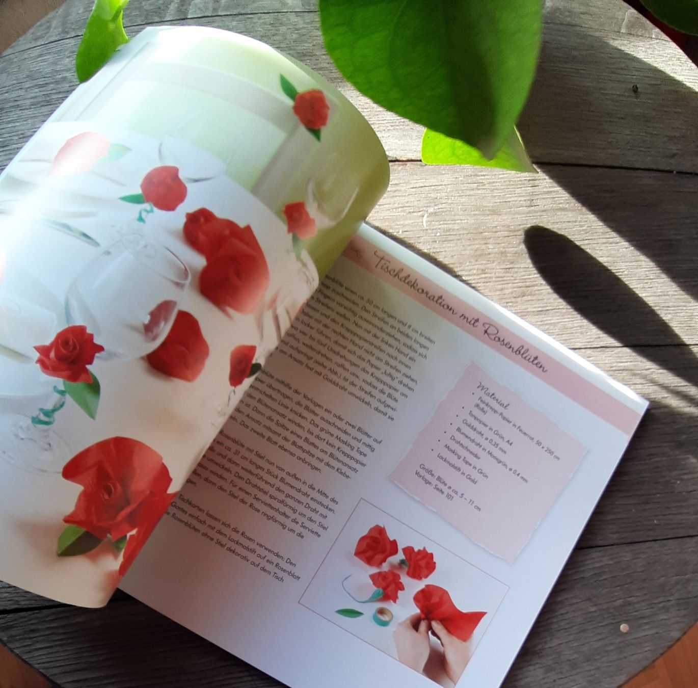Libri: Bastelbuch Kreativwerkstatt Papier – Usato da Utzenstorf venduto da Lutra4678 4