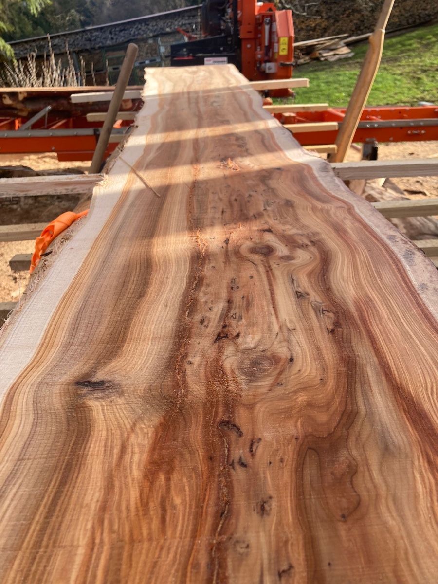 Articles en bois: Eibe klotzbretter – Neuf avec emballage d'origine à Wald AR par Mark92 1