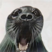 Profile image of ekb_m5zc