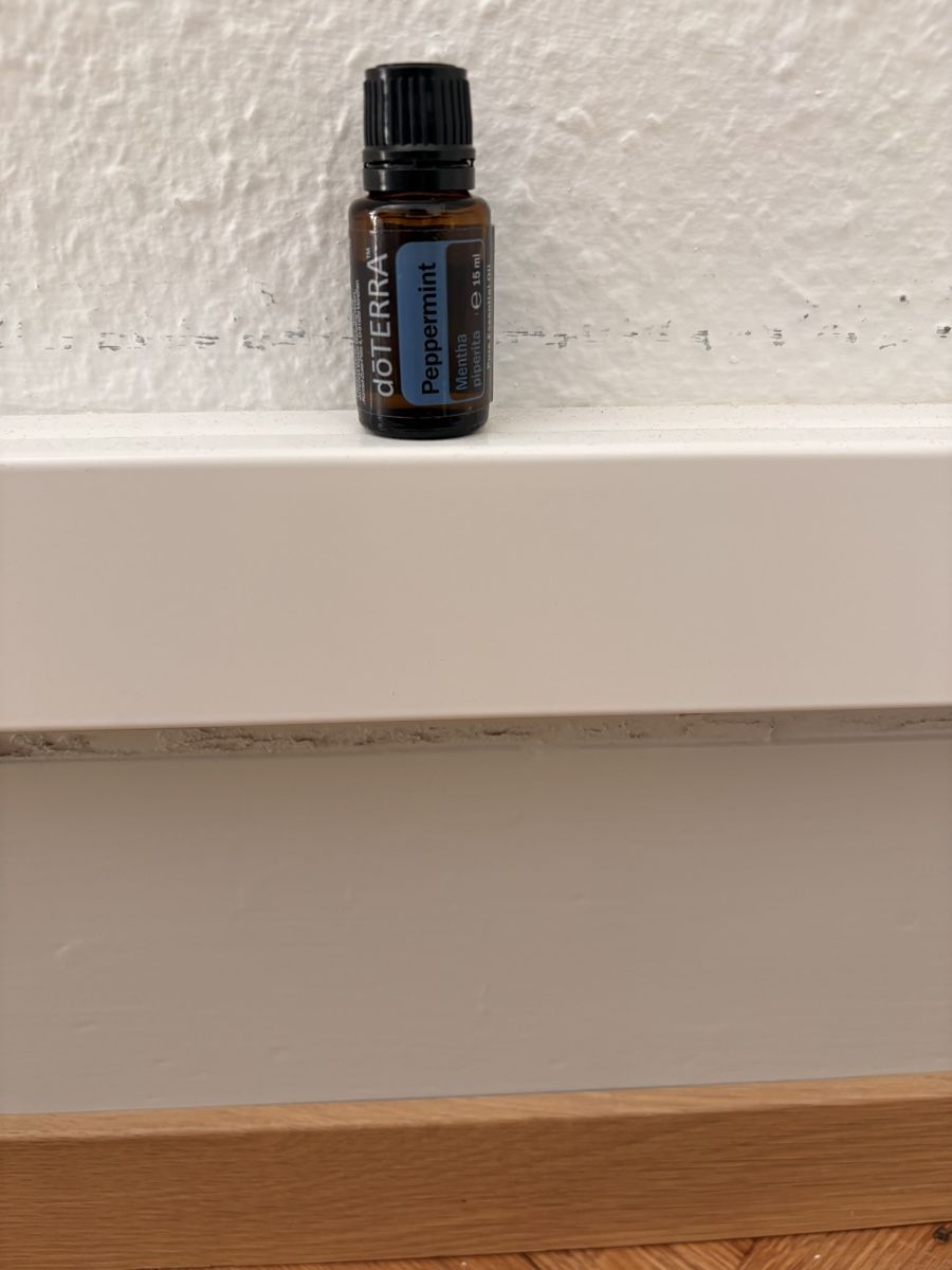 Doterra Ätherische Öle: dōTERRA Peppermint ätherisches Öl 15ml geöffnet & gebraucht – Gebraucht aus Sissach von Loredana89