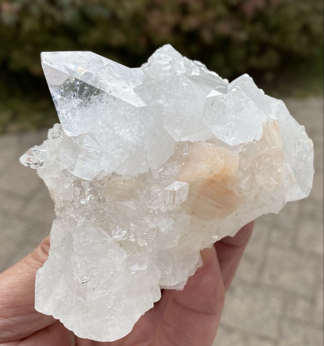 Minerali & Pietre curative: Schöner Apophyllit – Usato da Selzach venduto da 321compac 1