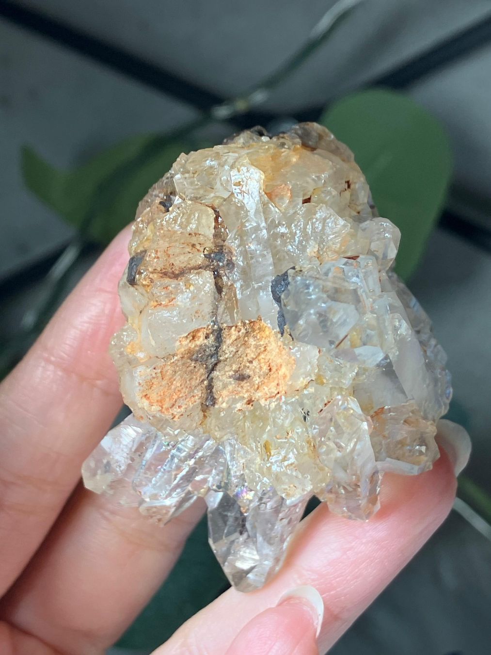 Minerali & Pietre curative: Klarer Quarz Cluster – Nuovo (secondo la descrizione) da Neuheim venduto da m.hald 7