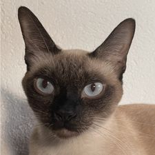 Profile image of Hot2