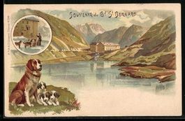 Litho Grand Saint-Bernard, Blick auf See