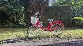 Damen City Bike