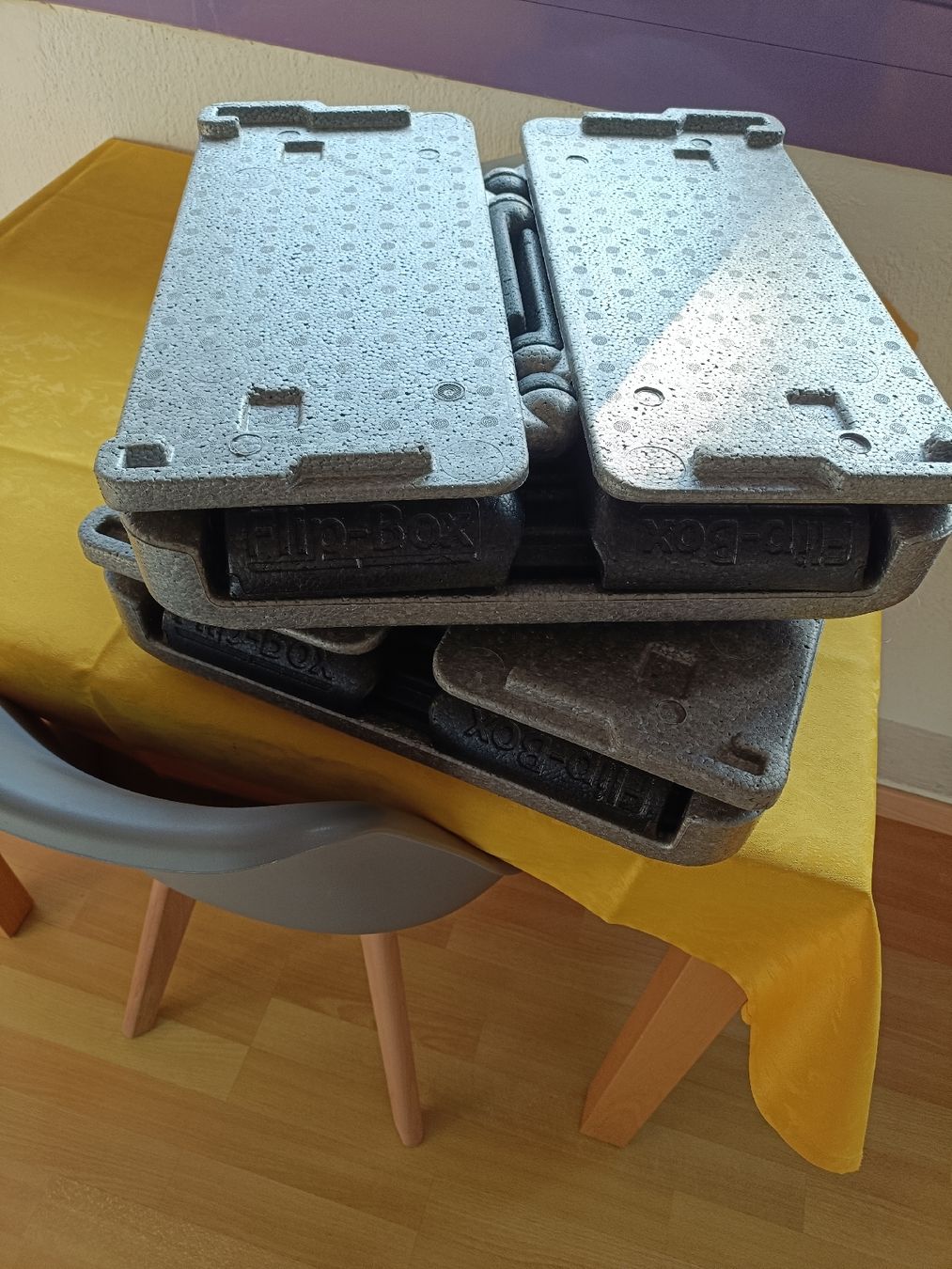 Topcase: Box Pizza – Usato da Domat ems venduto da Marika2213 4
