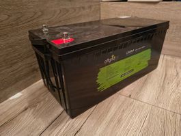 Offgridtec LiFePo4 Akku/Lithium-Batterie 12/300 12,8V 304Ah
