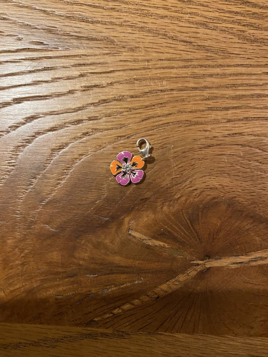 Thomas Sabo Ciondoli: Thomas Sabo Charm Blume farbig – Usato da Muri AG venduto da sonneblueme10