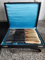 12 Essmesser mit Horngriff in Koffer