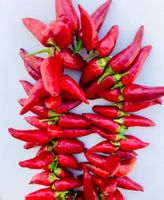 Chili GIRLANDE aus Sizilien  GEWURZE