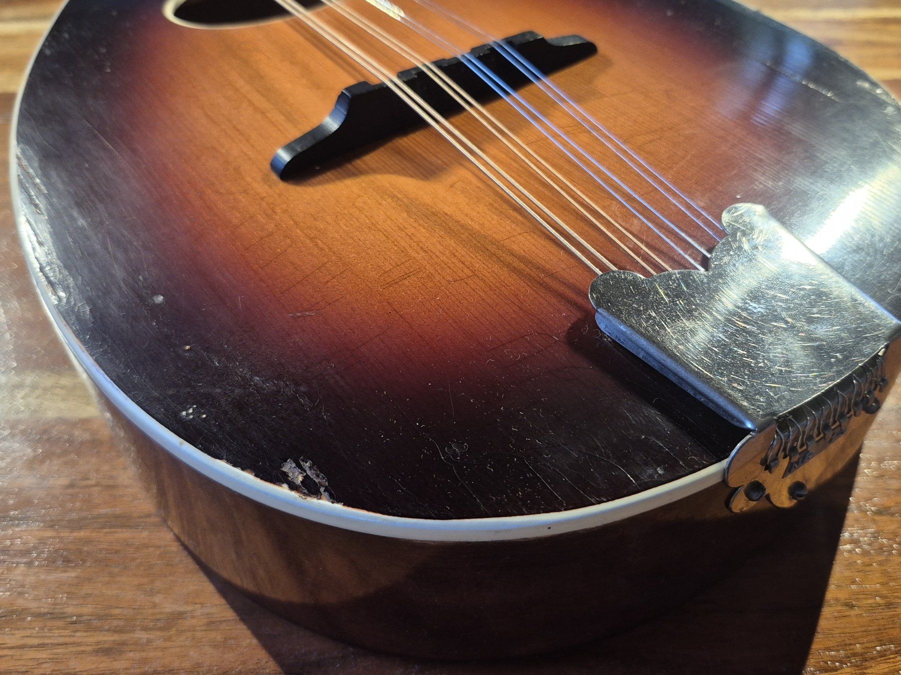 Strumenti musicali: Mandoline Levin 54 Taranto 1963 – Usato da Winterthur venduto da NorrSydGuitars 4