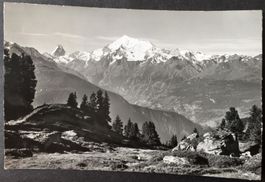 RIEDERALP Blick vom Riederhorn