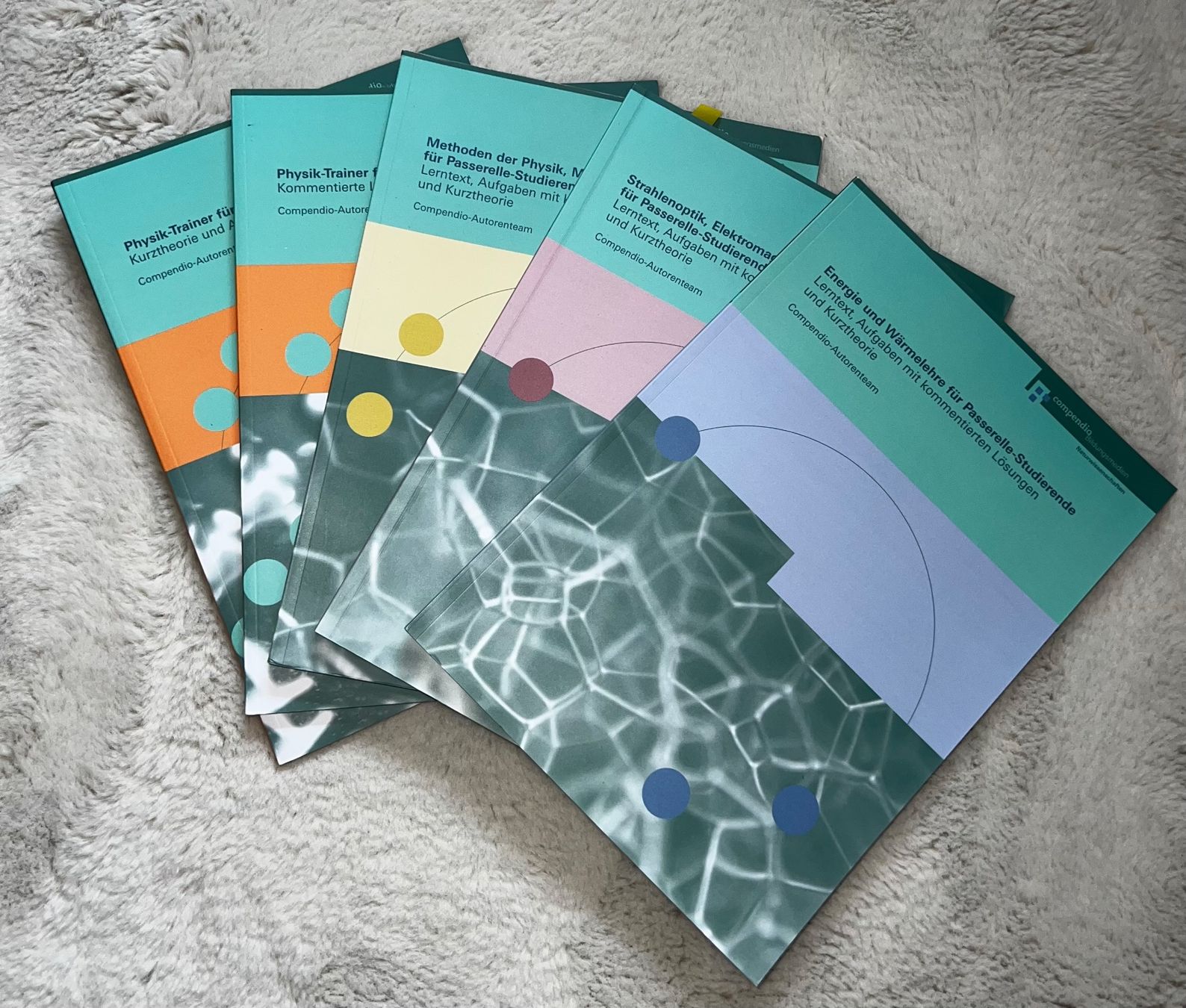 Bücher: Lehrmittel Passerelle📚 – Gebraucht aus Meisterschwanden von nat_22kj 5