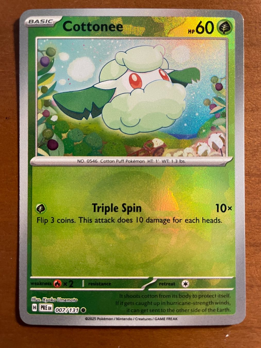 Pokémon Carte collezionabili: Pokemon Cottonee Pokeball (Versand gratis) – Nuovo (secondo la descrizione) da Chur venduto da Angerson