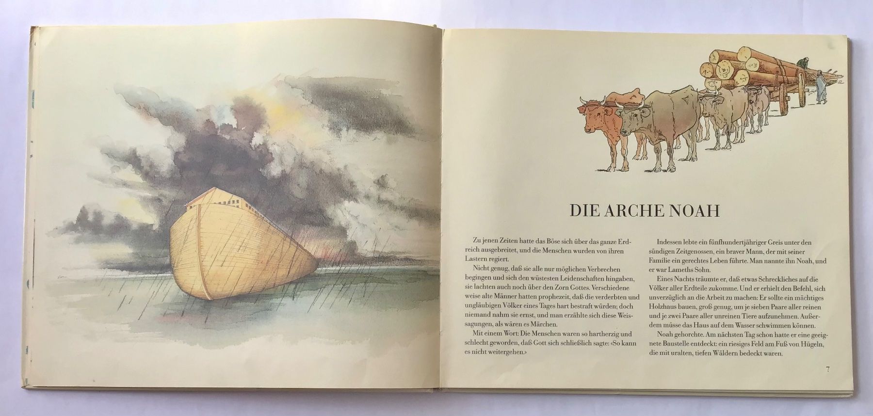 Libri: Bilderbuch: Die Arche Noah – Usato da Bubendorf venduto da Alpenheidi 6