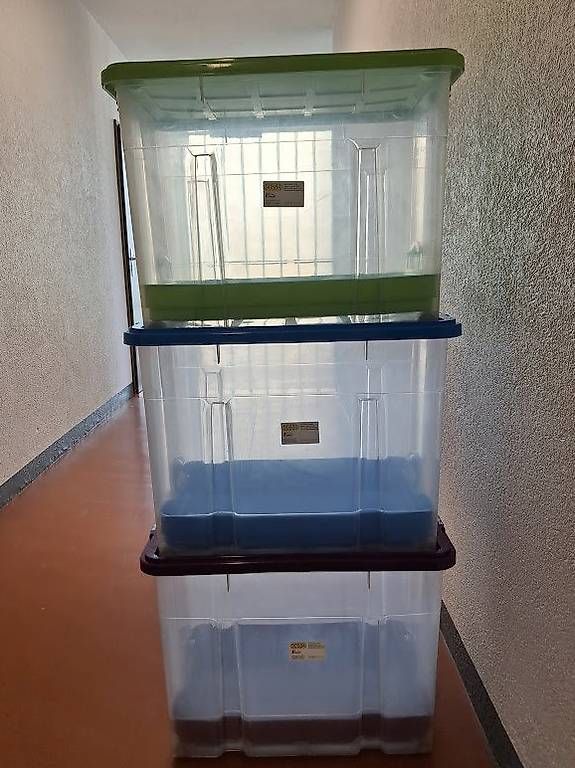 Casse di trasporto: Maxi bacs de rangement 3 pièces – Usato da Genève venduto da Bell-47