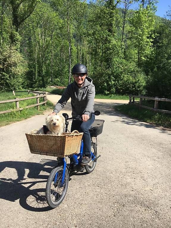 Vélos: Isy E Bike  – D'occasion à Erlach par Dehler0
