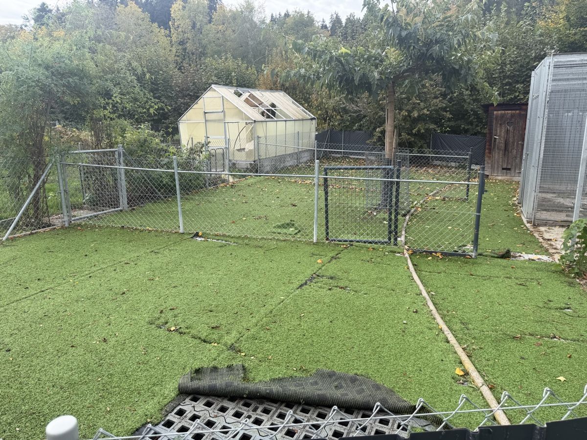 Rivestimenti per pavimenti: Kunstoff Bodenplatten ca 120m2 – Usato da Horgen venduto da Koakelina 2