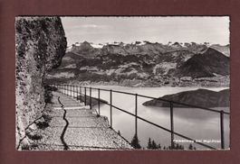 FELSENWEG bei Rigi-First - 1964