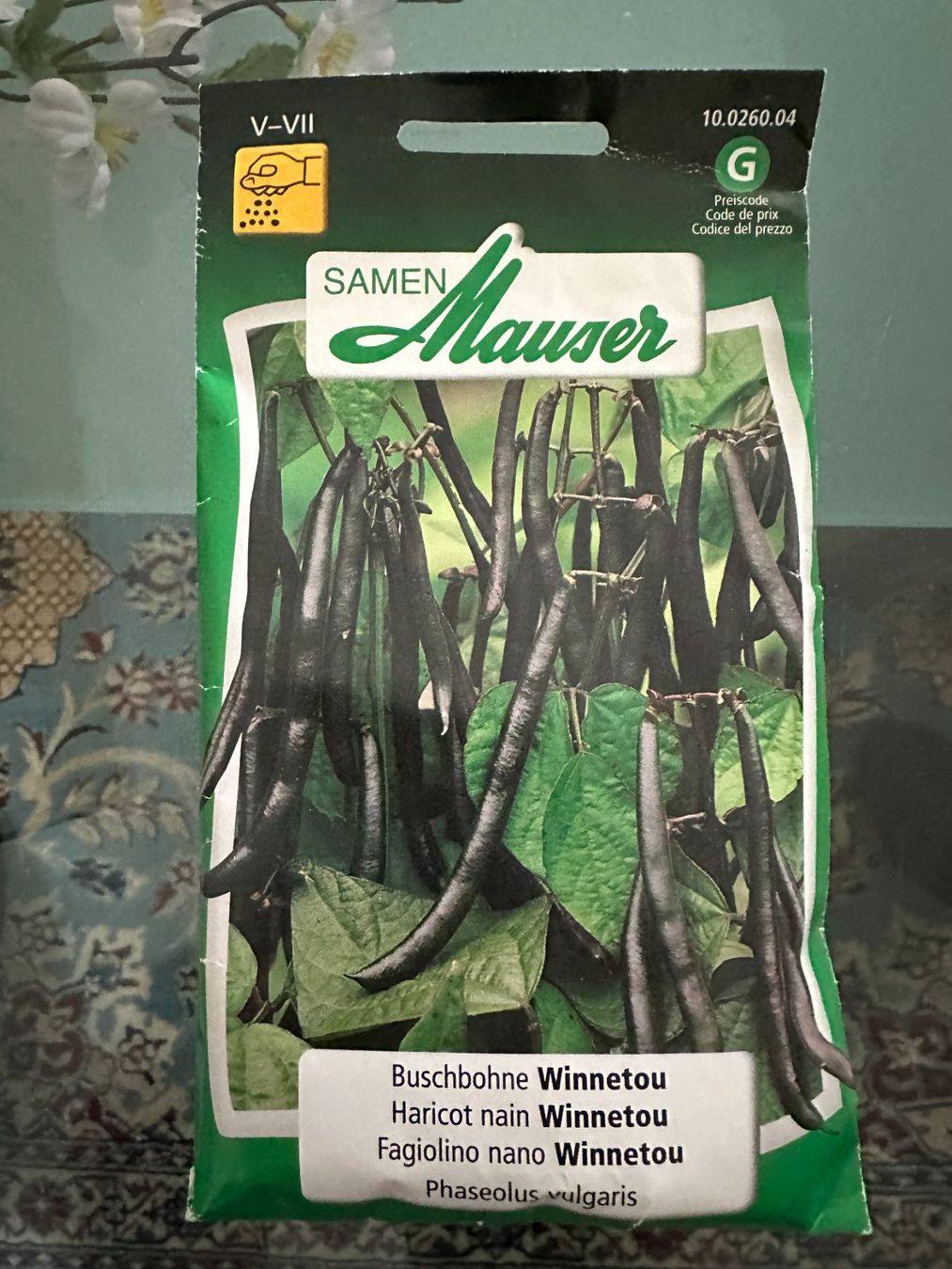 Piante & sementi: Samen Mauser - Buschbohne Winnetou – Nuovo e nell'imballaggio originale da Schneisingen venduto da Tomthedragon