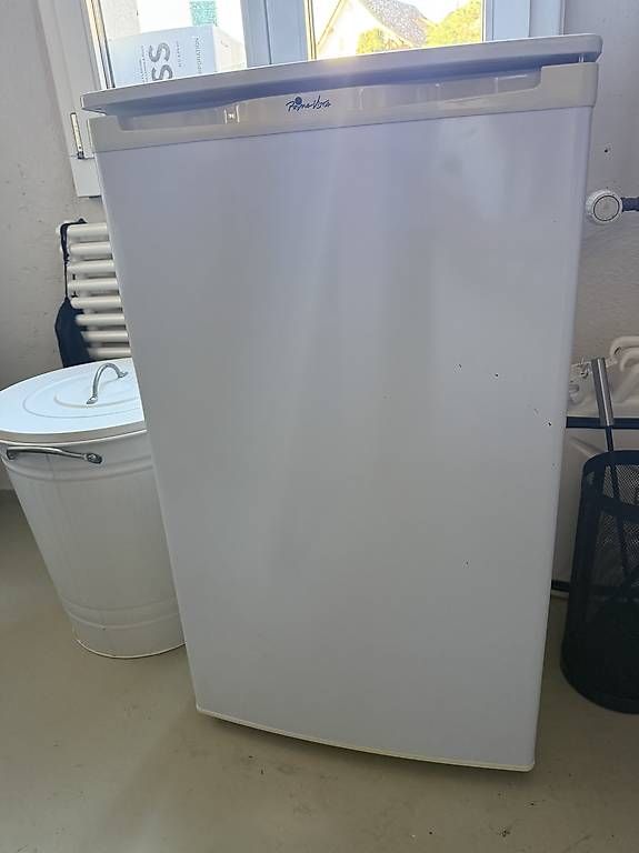 Congelatori: PrimaVista TK60 Gefrierschrank – Usato da Buchberg venduto da the_w8gy 1