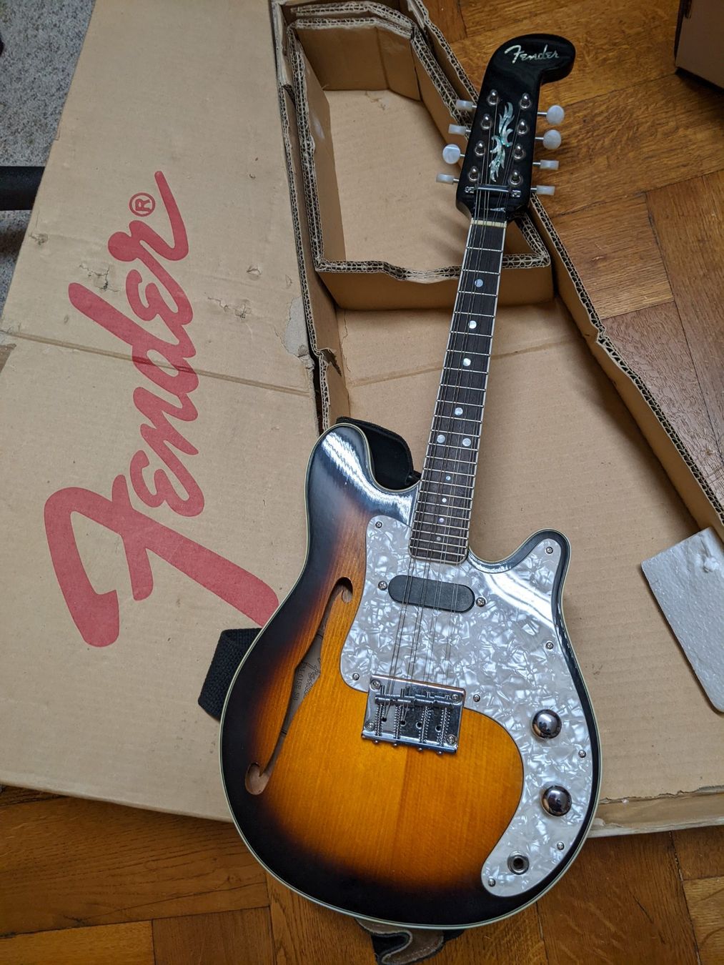 Fender Mandoline FM-61SE, toller Sound, praktisch neuwertig (Gebraucht ...