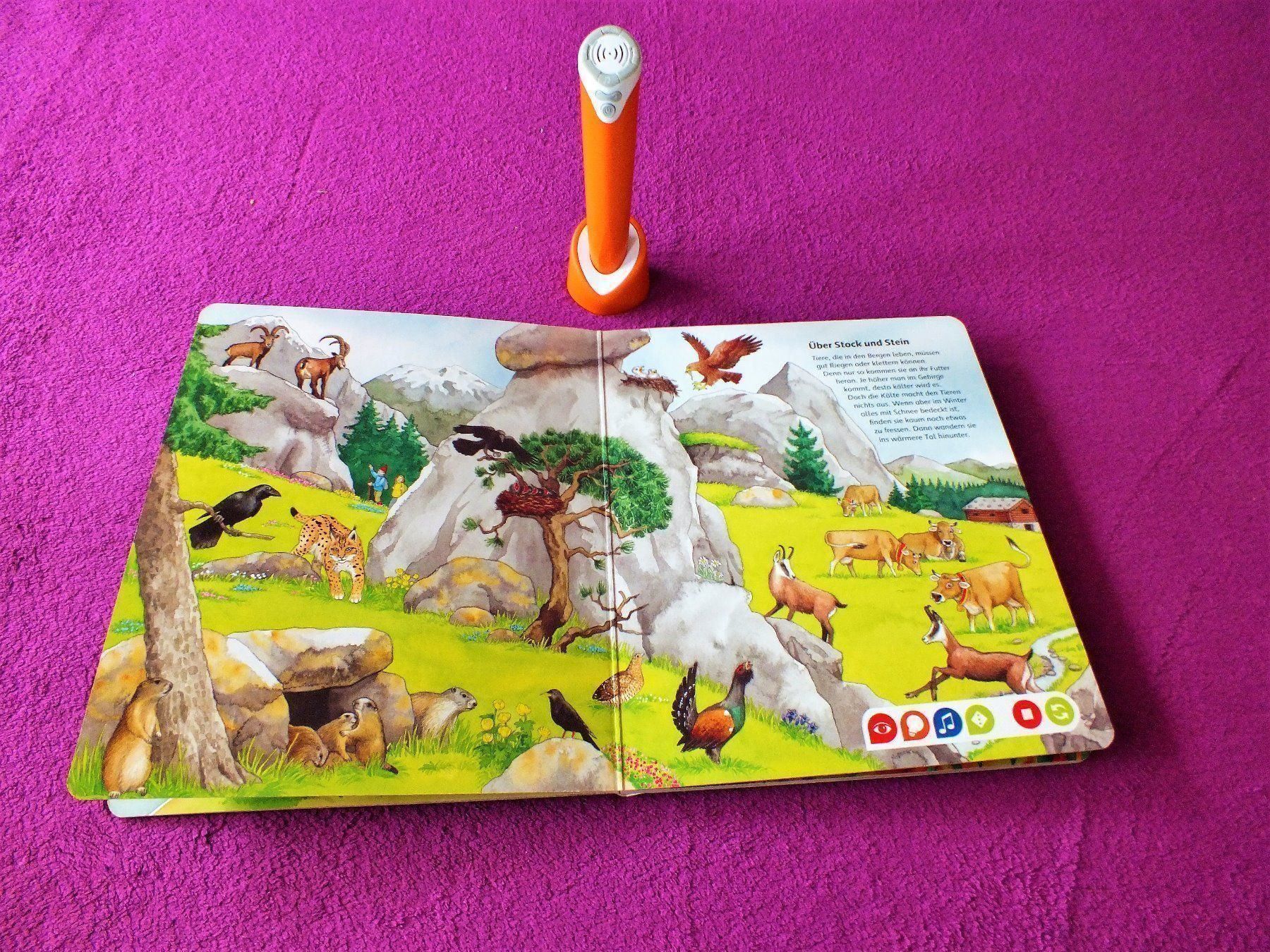 Ravensburger Giochi: tiptoi Starterset -Stift & Bilderlexikon – Usato da Müllheim Dorf venduto da Seeeule01 4