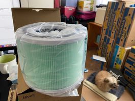 Levoit Core 300-RF-TX Filter, Ungeöffnet! (Abgase, Schimmel)