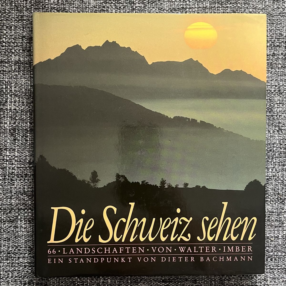 Libri: Die Schweiz sehen – Usato da Schwyz venduto da rs-trend
