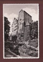 SCHLOSS WILDEGG