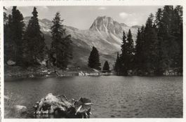 Bitabergsee ob Maloja