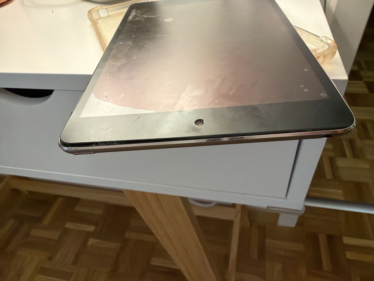 Apple Tablet PC: iPad mini – Usato da Ecublens VD venduto da djromeo02 1