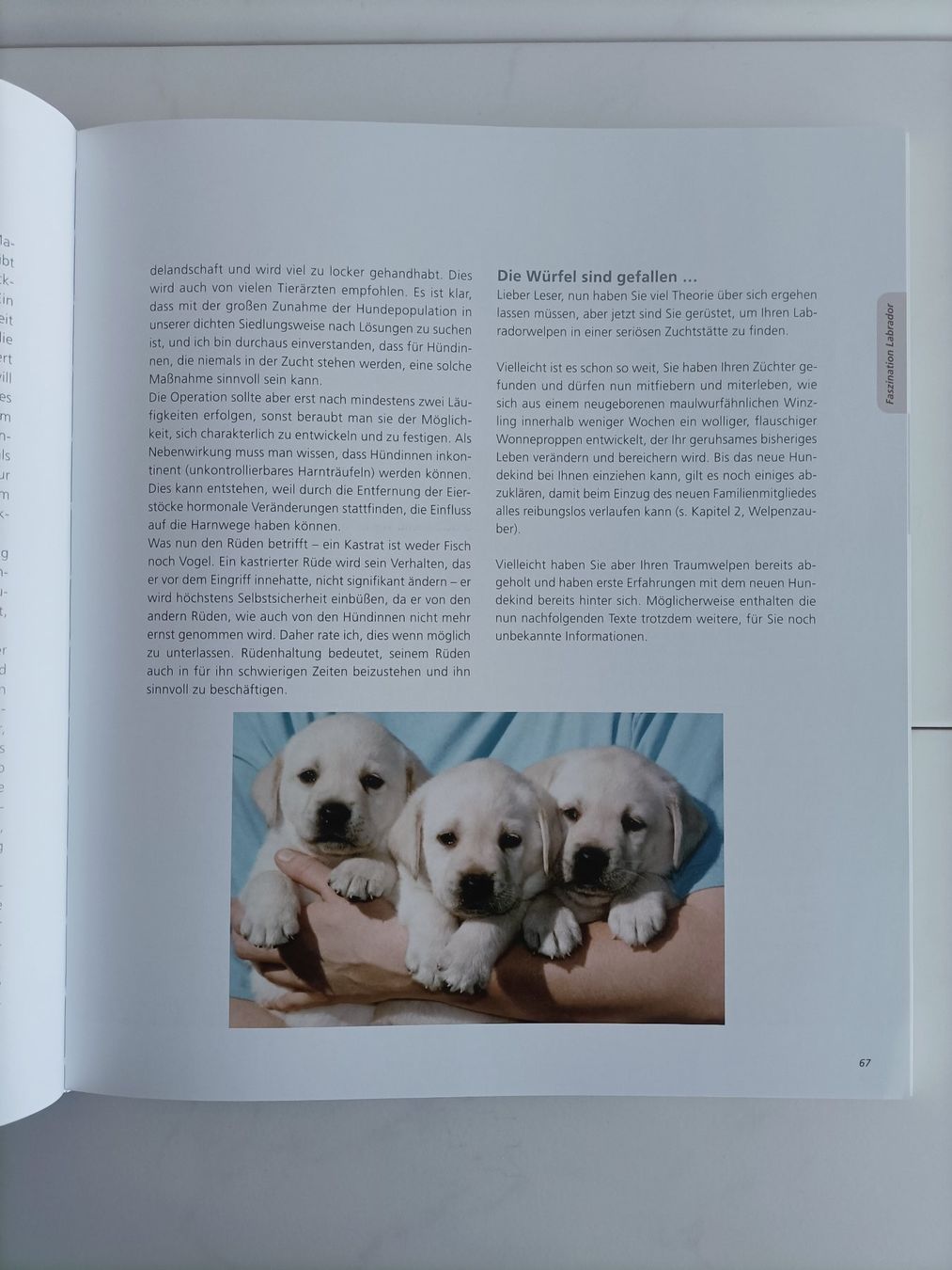 Bücher: Labrador Retriever / Rosemarie Wild / Muller 2011 – Gebraucht aus crans montana von AB3963 5