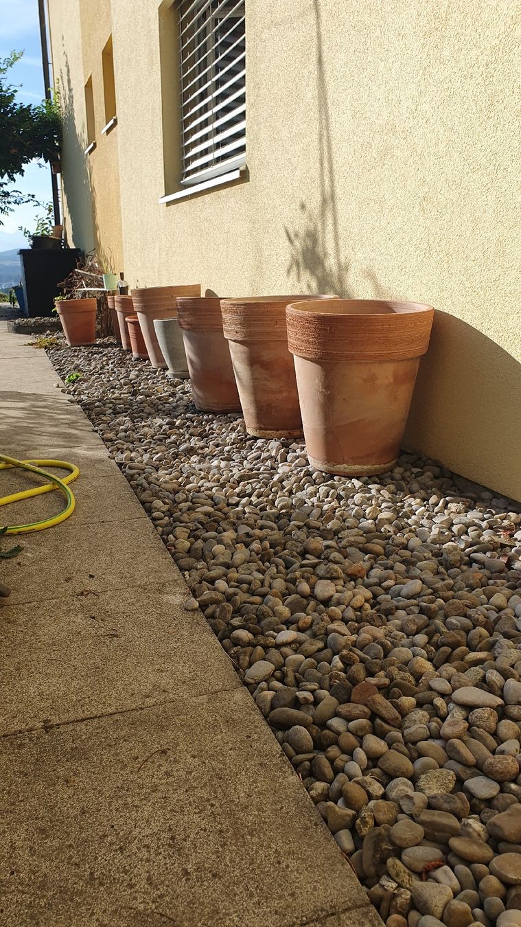 Vasi per fiori: Grosser Terracotta Planztopf – Usato da Bellerive VD venduto da cajen 2