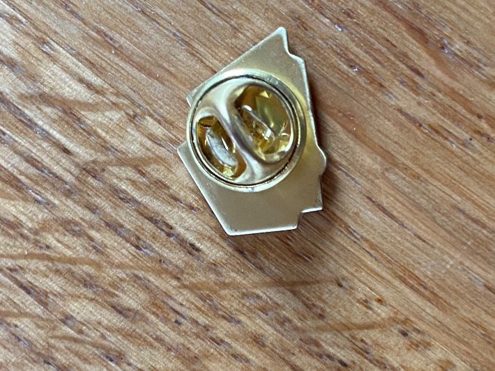 Placchette & Badge: PTT  Anstecknadel PIN – Usato da THERWIL venduto da Fcbbasel 1