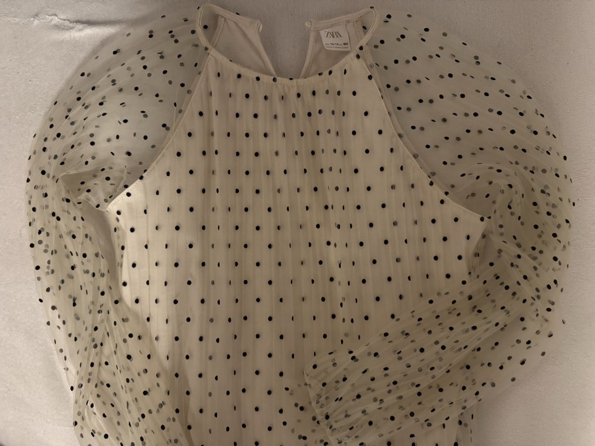 Zara Camicette, T-shirt & Top: Zara Oberteil – Usato da Ebmatingen venduto da F.Bullet