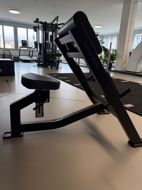 Altro in Decorazioni & Accessori: Biceps Curl – Usato da Zürich venduto da mat_7l7y 1