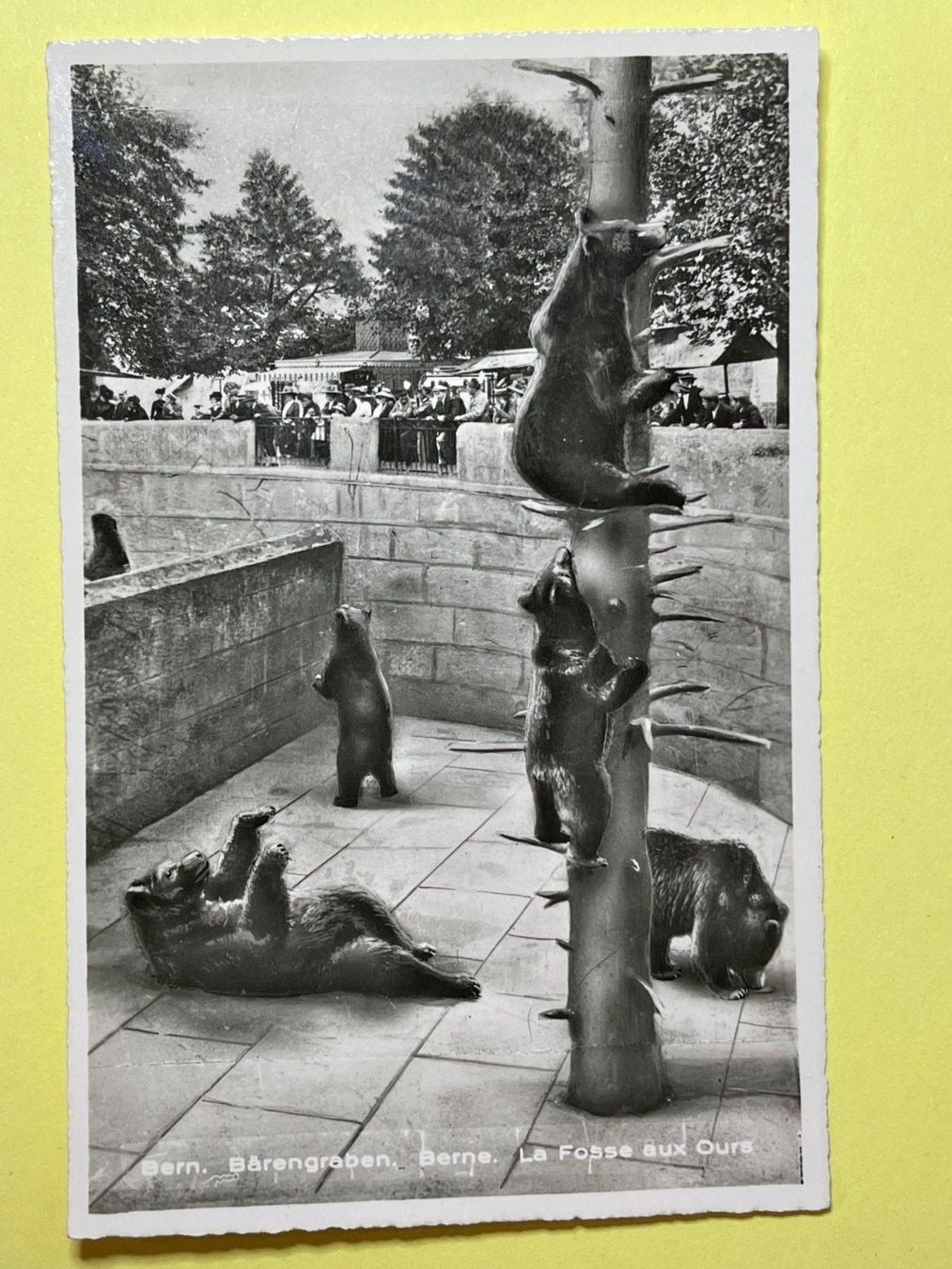 Cartes postales: Bern - Bärengraben – D'occasion à Steg VS par _vinci_