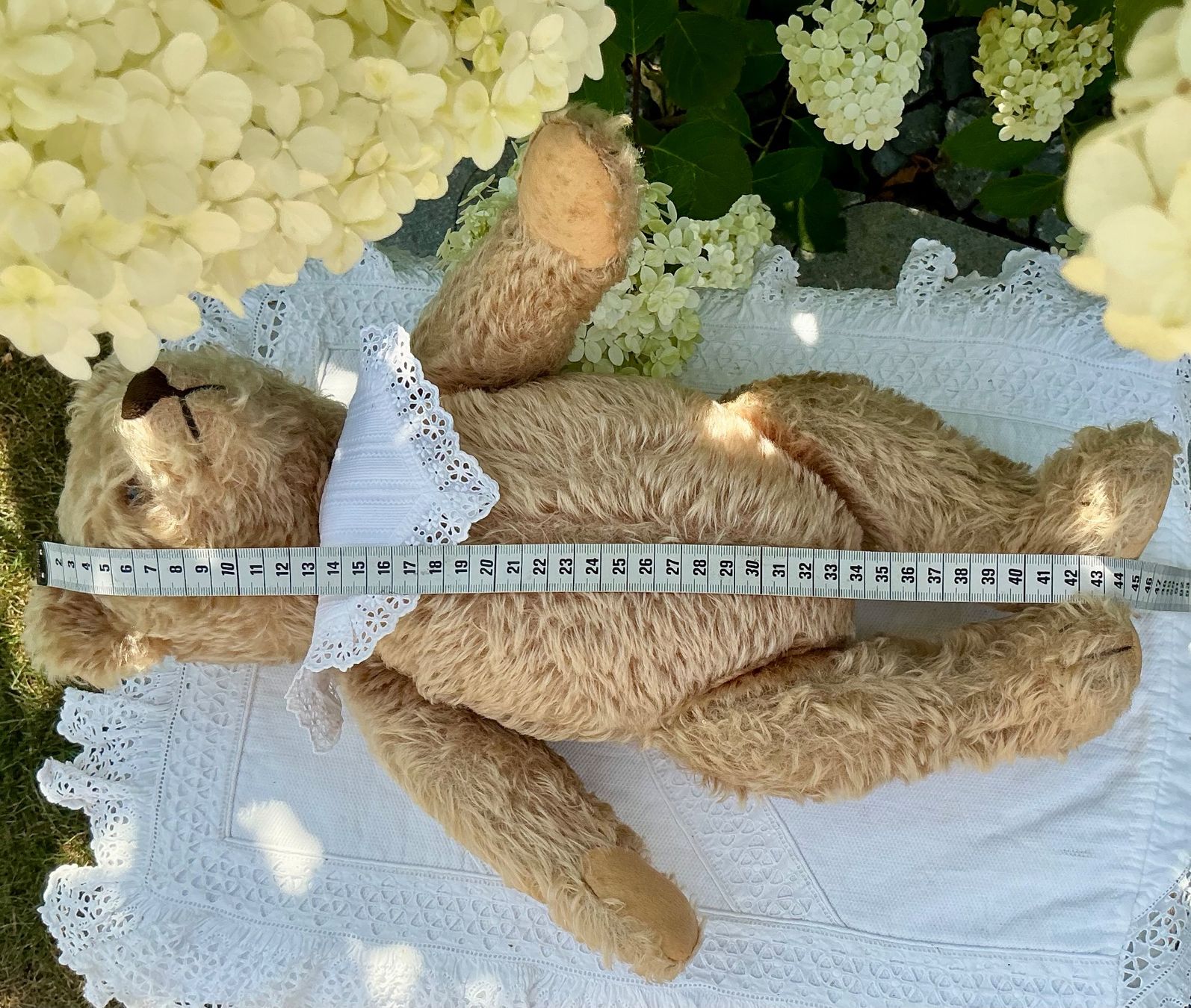 Spielzeuge: HERZIGER ALTER STEIFF TEDDY – Gebraucht aus Zell LU von Silvermemory 4