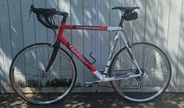 Einsteiger Rennvelo Wilier Triestina mit Campagnolo Veloce